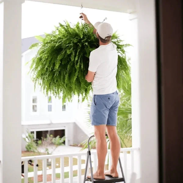 This Week's Special Price $19.99 UV Resistant Lifelike Artificial Boston Fern - Image 2