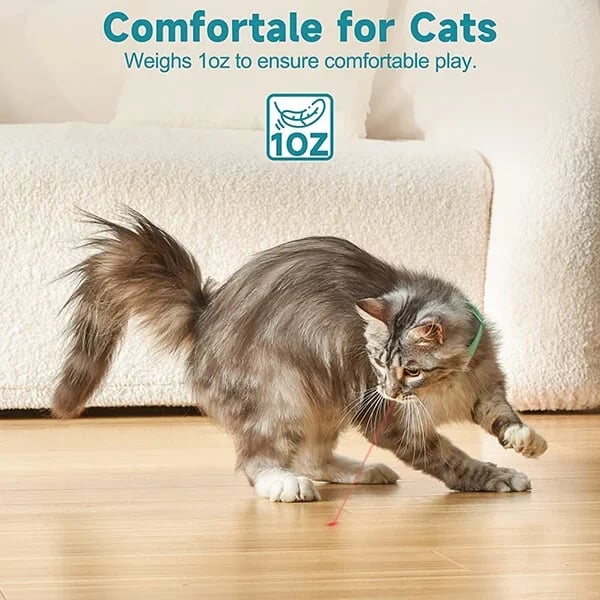🔥 Electric Smart Amusing Collar for Kitten 🔥 - Image 4