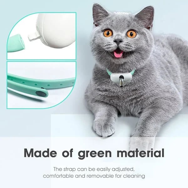 🔥 Electric Smart Amusing Collar for Kitten 🔥 - Image 5
