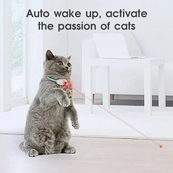 🔥 Electric Smart Amusing Collar for Kitten 🔥 - Image 9