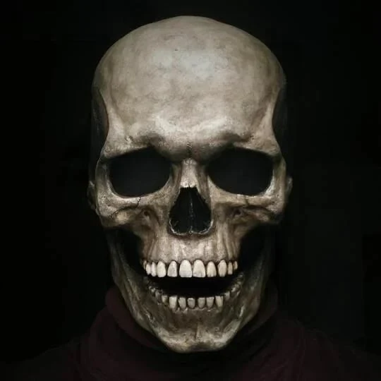 Full Head Skull mask - Image 2