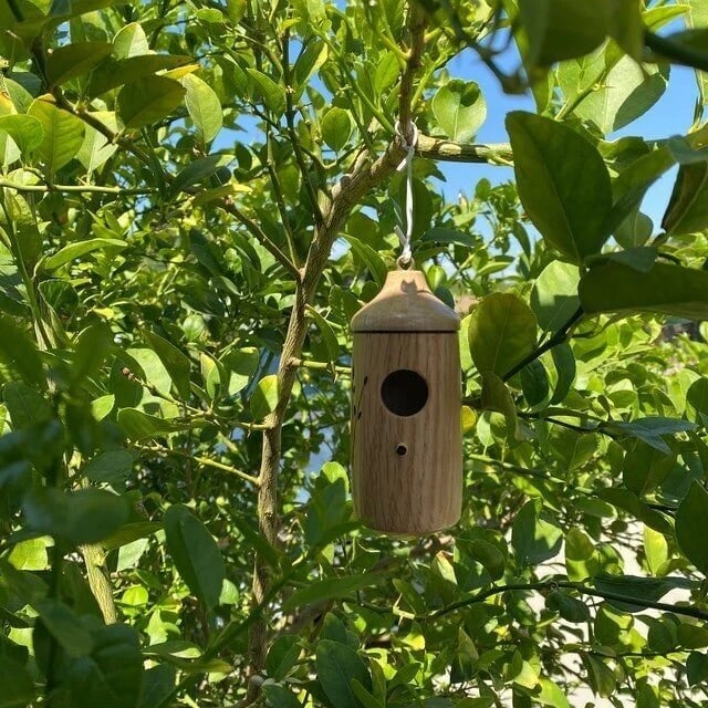 💕Wooden Hummingbird House-Gift for Nature Lovers - Image 11