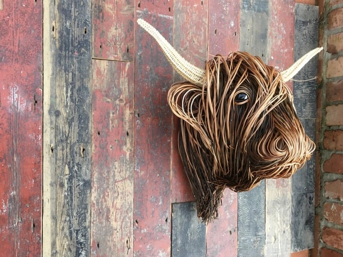 Messy Hairstyle Plateau Cow - Image 8