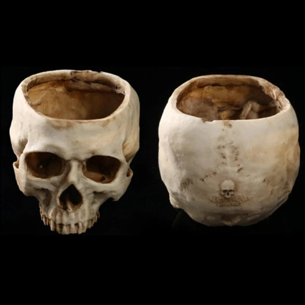 Human Skull Bowl - Image 6