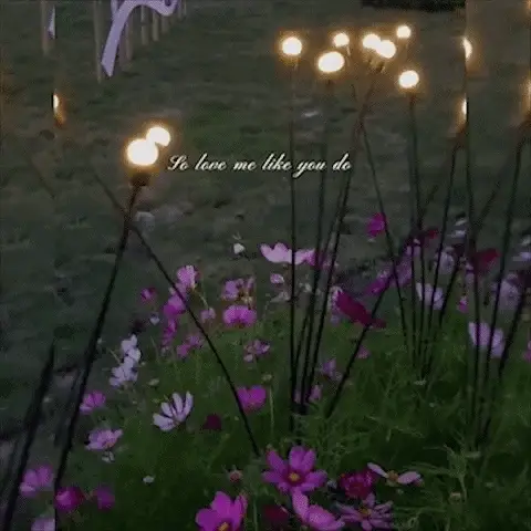 🔥Last Day 49% OFF- Solar Powered Firefly Garden Light - Image 2