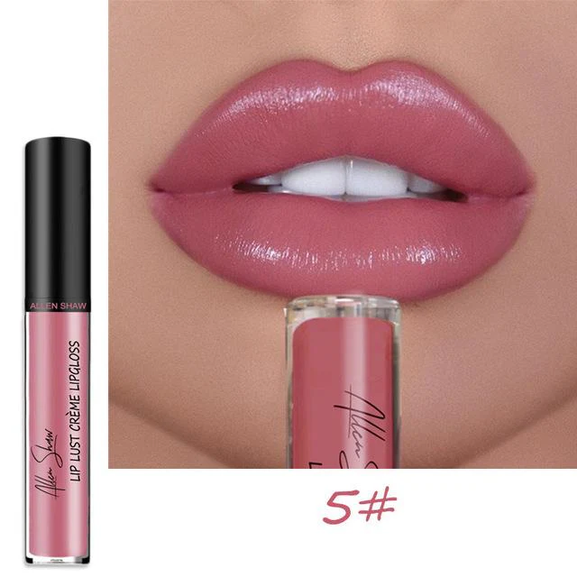 12 COLOR WATERPROOF LONG LASTING MOIST LIP GLOSS PLUMPER LIQUID LIPSTICK - Image 10