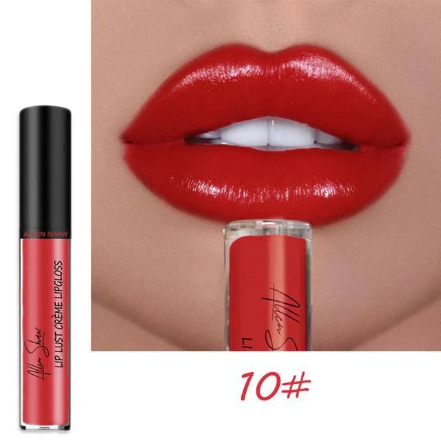 12 COLOR WATERPROOF LONG LASTING MOIST LIP GLOSS PLUMPER LIQUID LIPSTICK - Image 15