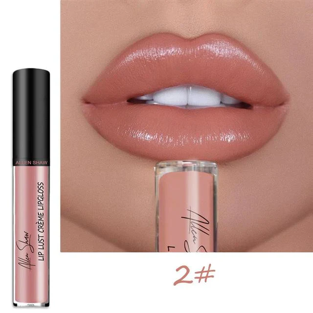 12 COLOR WATERPROOF LONG LASTING MOIST LIP GLOSS PLUMPER LIQUID LIPSTICK - Image 19