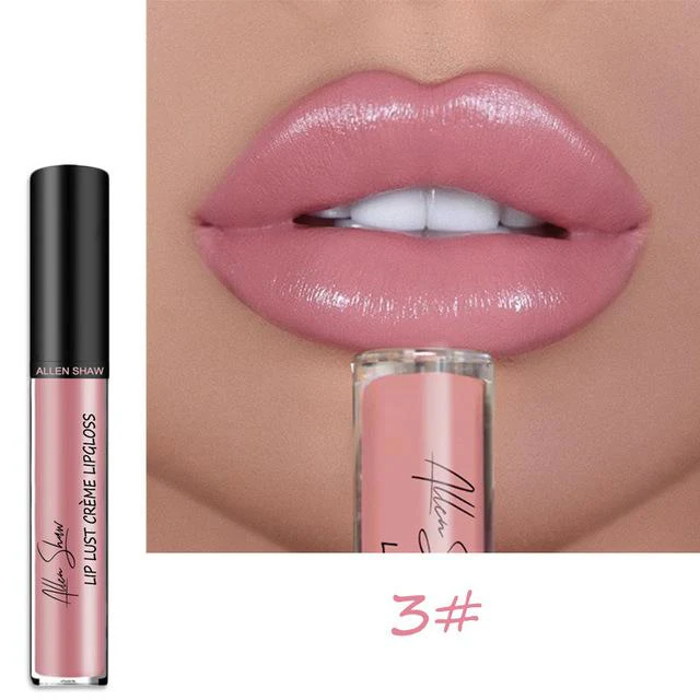 12 COLOR WATERPROOF LONG LASTING MOIST LIP GLOSS PLUMPER LIQUID LIPSTICK - Image 20