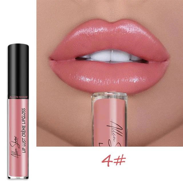 12 COLOR WATERPROOF LONG LASTING MOIST LIP GLOSS PLUMPER LIQUID LIPSTICK - Image 21