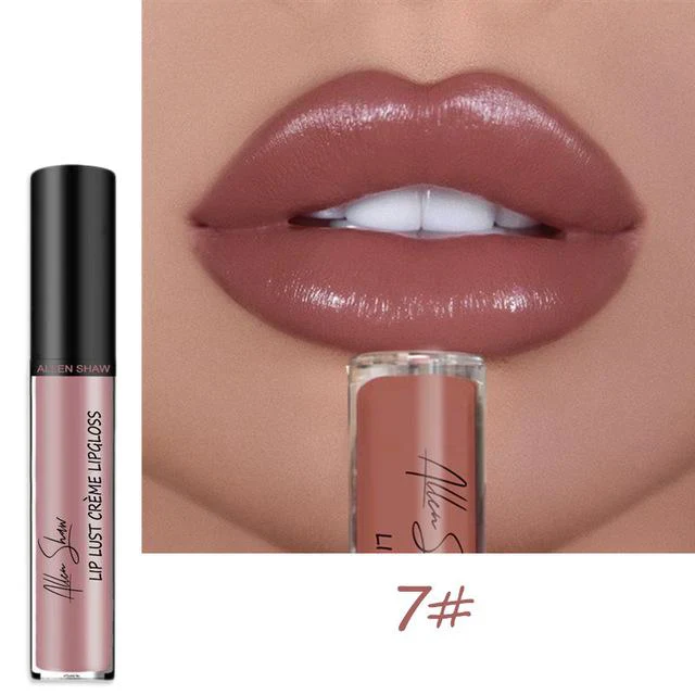 12 COLOR WATERPROOF LONG LASTING MOIST LIP GLOSS PLUMPER LIQUID LIPSTICK - Image 24