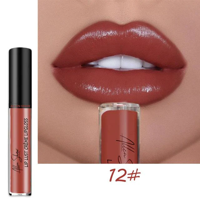 12 COLOR WATERPROOF LONG LASTING MOIST LIP GLOSS PLUMPER LIQUID LIPSTICK - Image 29