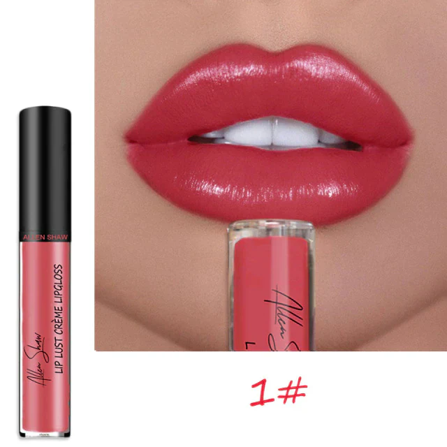 12 COLOR WATERPROOF LONG LASTING MOIST LIP GLOSS PLUMPER LIQUID LIPSTICK - Image 6